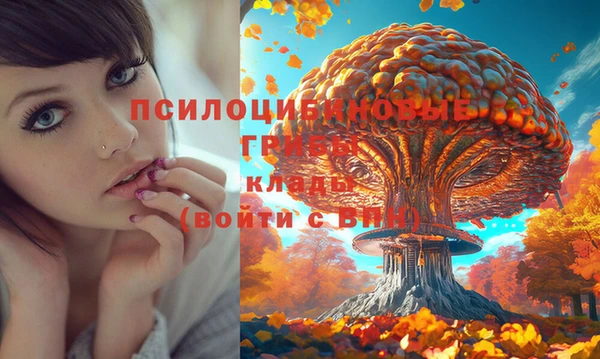 шишки Баксан